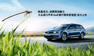 杜卡汽车多少钱